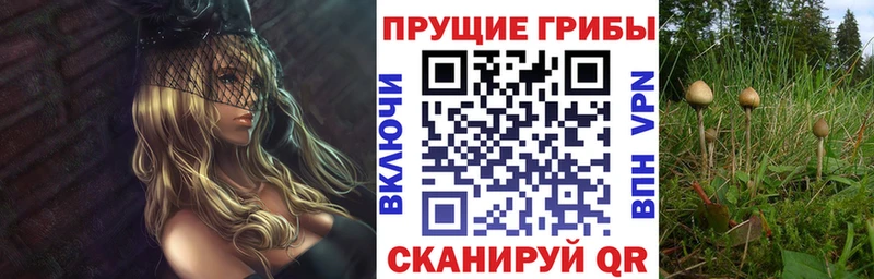 дарнет шоп Ленинск Псилоцибиновые грибы мухоморы